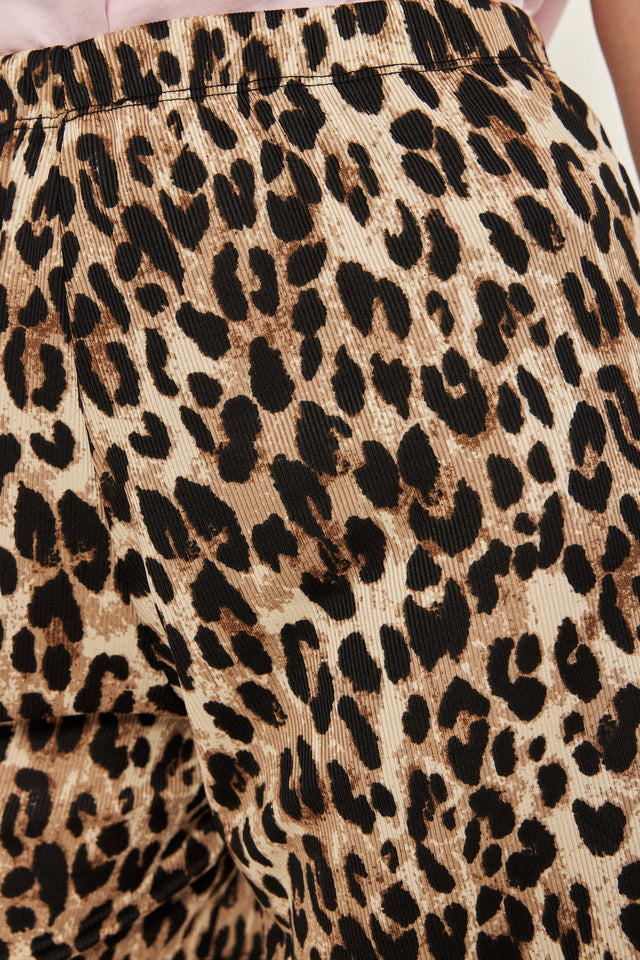 מכנסי ריב ספיריט ברמודה מנומרים