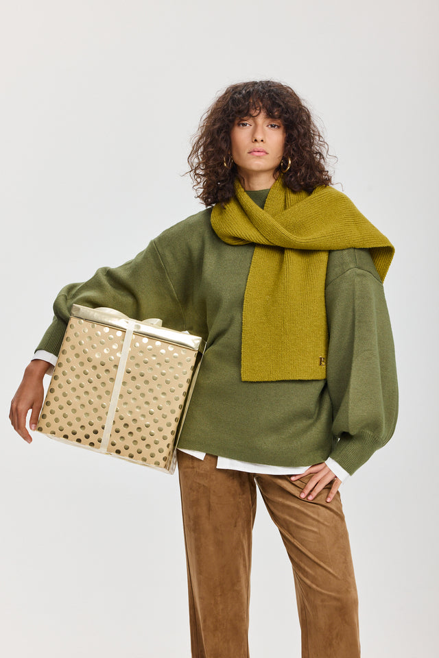 סוודר פרזנט פיסטוק