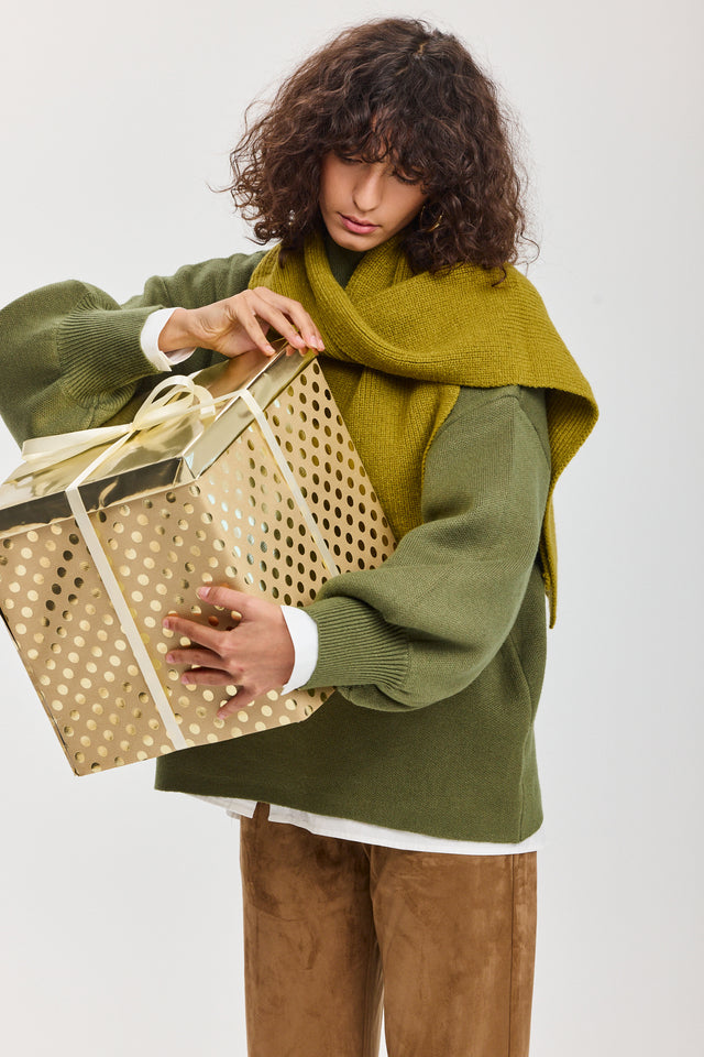 סוודר פרזנט פיסטוק